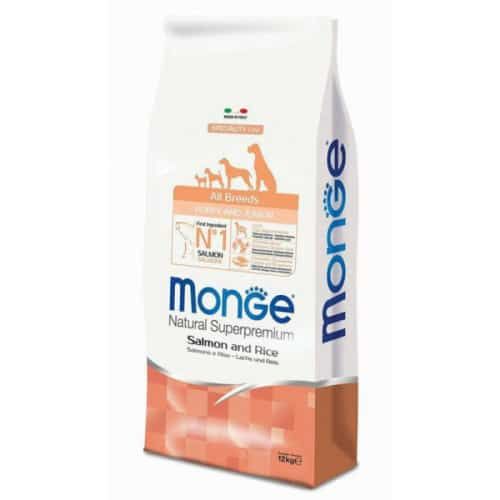 מונג' מזון לכלב בוגר סלמון ואורז monge